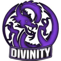 Divinity: Valorant Team Profile .